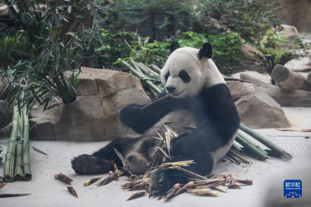 扑克牌玩法大全2人